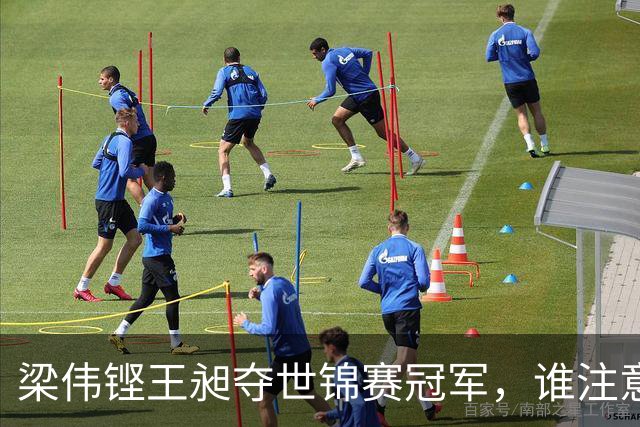 梁伟铿/王昶夺世锦赛冠军，谁注意到对方教练赛后的举动？真朋友